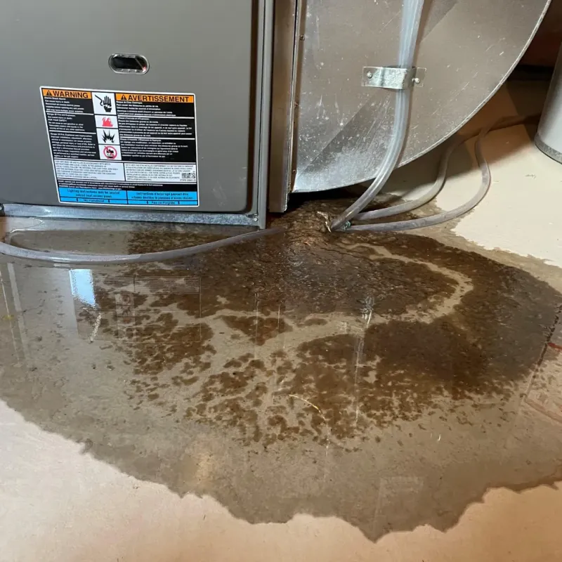 Appliance Leak Cleanup in Trent Woods, NC